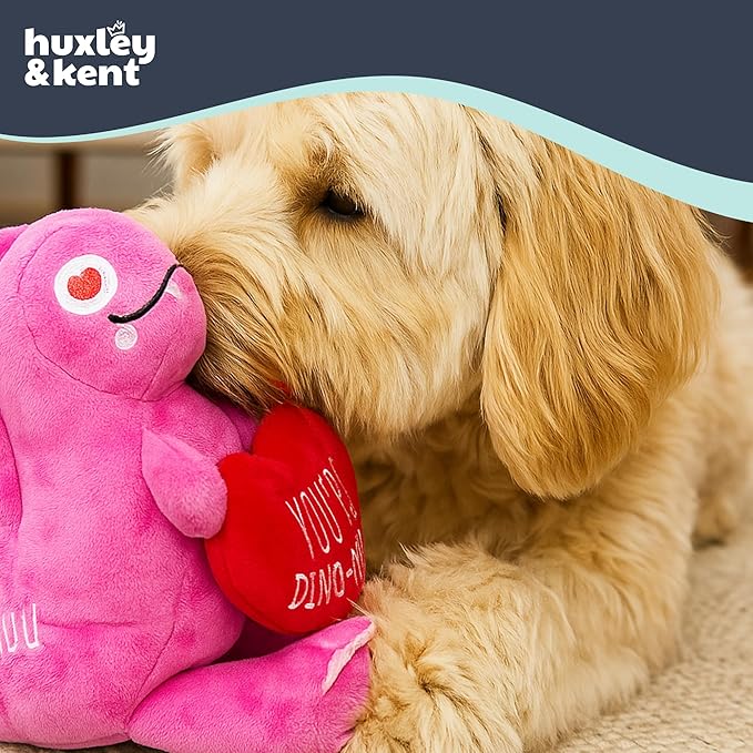 Huxley & Kent Funny Dog Toy w/Squeaker – Valentine's DayPower Plush Squeaky Dog Toys for Small, Medium & Large Dogs – Soft Stuffed Animal for Indoor Play & Fetch - You're Dino-Mite, One Size
