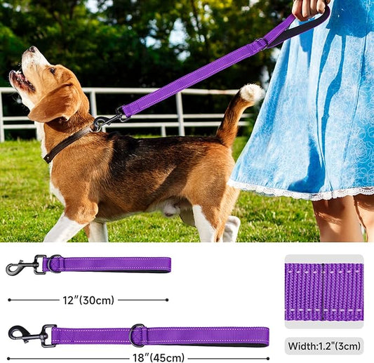 Dog Leash, Short Dog Leash, Leashes for Large Breed Dogs,Traffic Padded Handle- Reflective Training Lead, Perfect for Medium to Large Dogs(24 Inch, Purple)