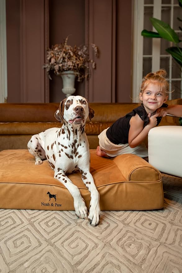 NOAH & PAW XL Dog Bed, 45x35x9.1 Inch, Orthopedic Large Dog Beds, Eggshell Memory Foam Infused with Cooling Gel, Waterproof, Machine Washable, Includes Inner Cover (Faux Leather)