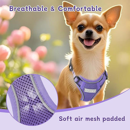 Small Dog Harness and Leash Set, Reflective Soft Breathable Mesh Vest, 3 Buckles, Adjustable Neck and Chest,Step in Dog Harness for Walking, Running, Training, Purple, S