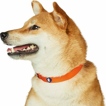 Blueberry Pet Essentials Matching Dog Collar and Leash Set in Orange Vermilion, Adjustable Classic Solid Color Nylon Collar with 5 ft Leash for Medium Dogs