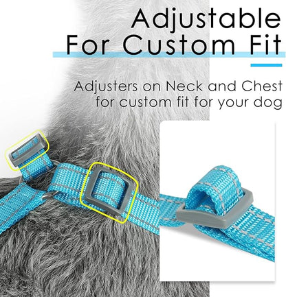 ThinkPet Reflective Breathable Soft Air Mesh No Pull Puppy Choke Free Over Head Vest Harness for Puppy Small Medium Dogs and Cats(Light Blue, XS)