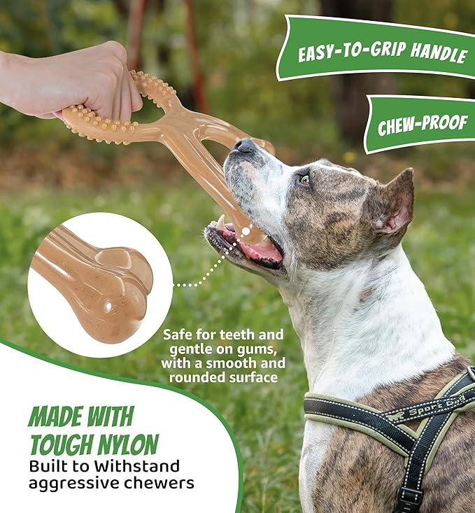 IPTPAS Durable Dog Chew Toy for Aggressive Chewers, Indestructible Nylon Bone Dental Care Teeth Cleaning Chew Toy for Small, Medium and Large Dogs, Keep Them Busy, Irresistible Beef Flavor (Brown)