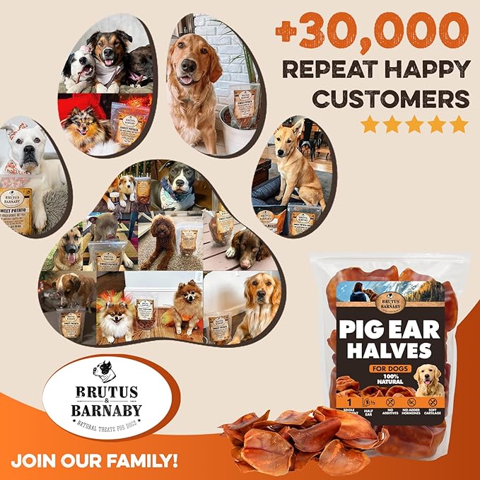 BRUTUS & BARNABY Pig Ear Halves for Dogs, 15 Ct. – All-Natural Single Ingredient Dog Chews, Slow Cooked & Fully Digestible Rawhide Alternative