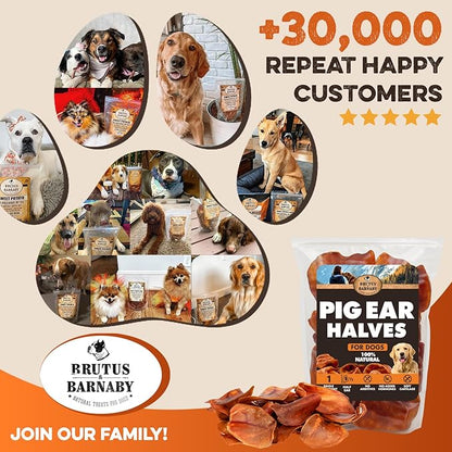 BRUTUS & BARNABY Pig Ear Halves for Dogs, 15 Ct. – All-Natural Single Ingredient Dog Chews, Slow Cooked & Fully Digestible Rawhide Alternative