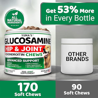 YUMA'S Glucosamine for Dogs - Hip and Joint Supplement for Dogs - 170 Ct - Glucosamine Chondroitin Chews - Joint Pain Relief Supplement with MSM - Advanced Health - Mobility Support - Made in USA