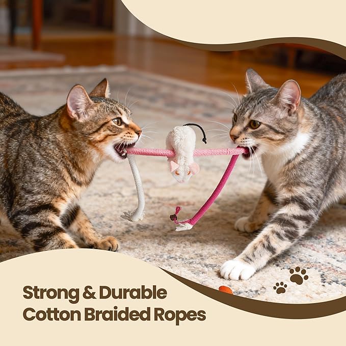 PURETOY Cat Chew Ropes with Catnip Mice, 3Pcs Cat Chew Toys for Kitten/Large Cats Enrichment, 3-in-1 Catnip Toys Mouse & Strong Braided Ropes & Gall Fruits, Cats Teething Toys