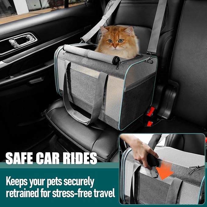 GAPZER Pet Carrier for Large Cats 20 lbs+ / Soft Sided Small Dog Travel Carriers Top Load/Collapsible Carrier Bag for Big Cat / 2 Kittens Sturdy Transport Carriers Long Trips/Medium Cats 15 pounds