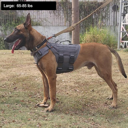 ICEFANG GN3 Tactical Dog Harness with 6X Buckle,Dog Molle Vest with Handle,3/4 Body Coverage,Hook and Loop Panel for ID Patch,No Pulling Front Clip (L (28"-35" Girth), Wolf Gray)