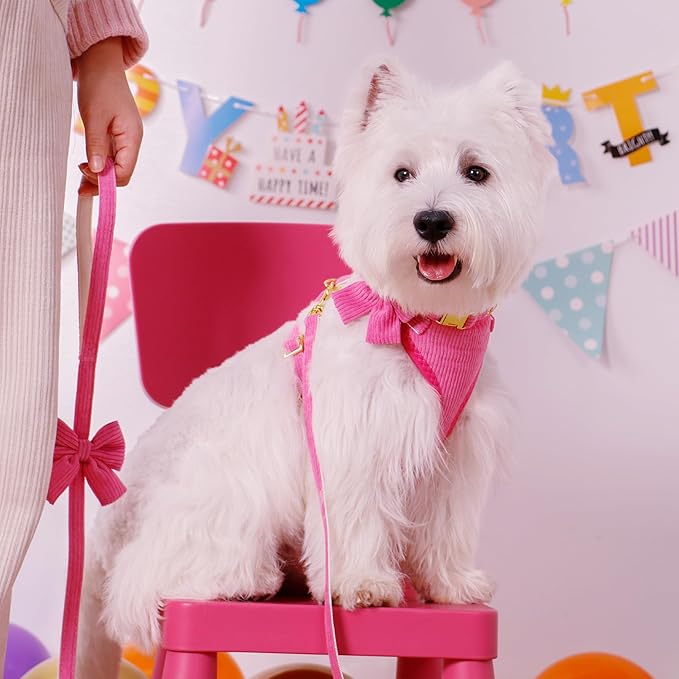 Didog Cute Small Dog Harness Collar and Leash Set with Bowtie, Breathable Soft Mesh Padded Puppy Harness, Dog Harness for Small Dogs Daily Walks Parties, Holiday Gatherings & Gifts, Hot Pink, M