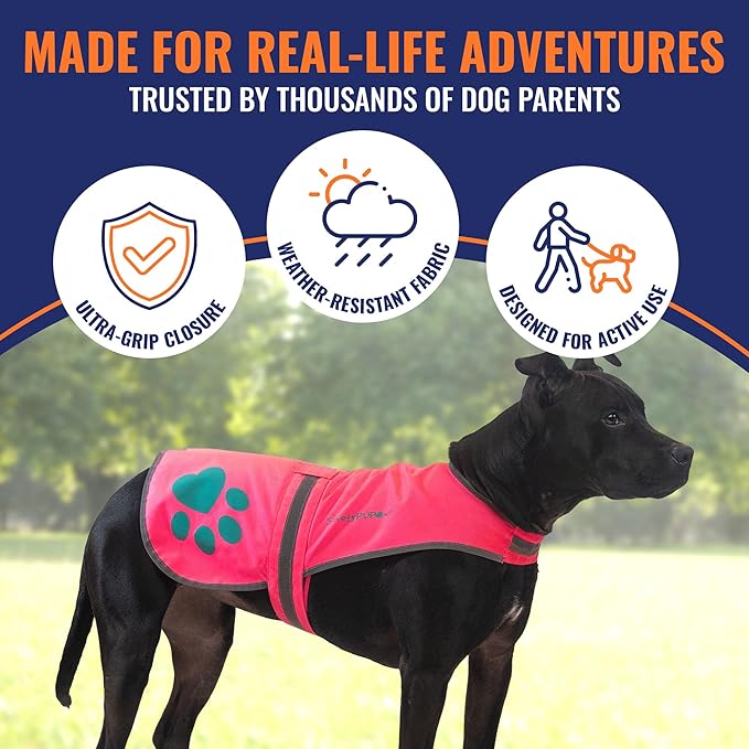 SafetyPUP XD Dog Reflective Vest – Hi-Vis Fluorescent Visibility That Helps to Safeguard Your Pet On/Off Leash in Urban & Rural Areas (Pink, X-Small)