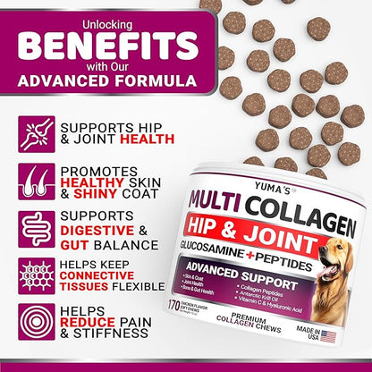 Advanced Collagen for Dogs - 170 Dog Collagen Chews - Hip and Joint Supplement - Skin & Coat Health, Cartilage & Mobility Support - Multi-Collagen Peptides - Glucosamine, Vitamin C, Hyaluronic Acid