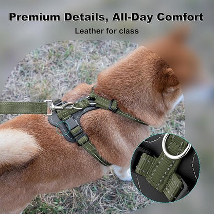 Plutus Pet Adjustable No Pull Dog Harness with Leather Accents, Heavy Duty Reflective Nylon Vest for Training, Hiking, Easy Walk Harness for Small, Medium, Large Dogs (Ranger Green, M)