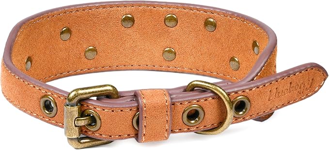 Blueberry Pet Premium Embossed Silver-Powered Freshness Microfiber Suede Leather Dog Collar in Saddle Brown