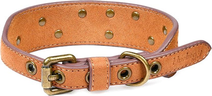 Blueberry Pet Premium Embossed Silver-Powered Freshness Microfiber Suede Leather Dog Collar in Saddle Brown