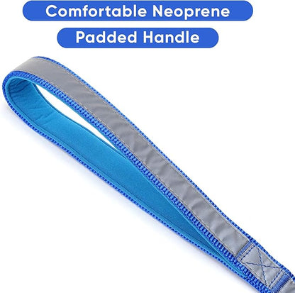Pawtitas 6 FT Padded Dog Leash with Comfortable Neoprene Padding Handle - Blue Lead | Medium Reflective Dog Leash with Highly Reflective Band Perfect for Medium and Large Dogs and Puppies.