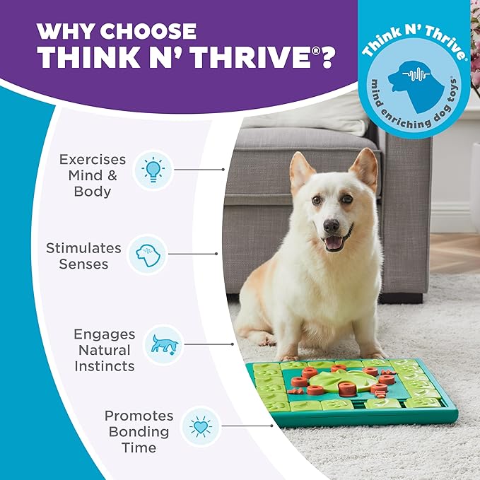 Outward Hound by Nina Ottosson MultiPuzzle – Interactive Dog Treat Puzzle Enrichment Toy, Level 4 Expert