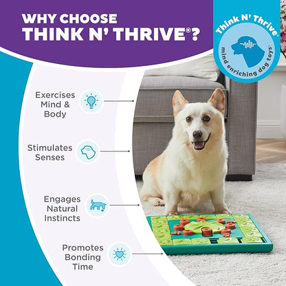 Outward Hound by Nina Ottosson MultiPuzzle – Interactive Dog Treat Puzzle Enrichment Toy, Level 4 Expert
