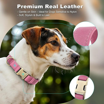 Plutus Pet Genuine Leather Dog Collar – Adjustable Pet Collar with Quick Release Metal Buckle, Soft Real Leather for Small Medium Large Dogs, Heavy Duty & Skin-Friendly (Pink, L)