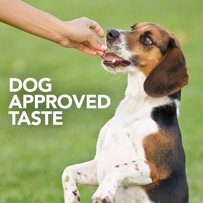 Vet's Best Probiotic Soft Chews Dog Supplement, Supports Dog Digestive Health, Promotes a Healthy Gut, 90 Day Supply