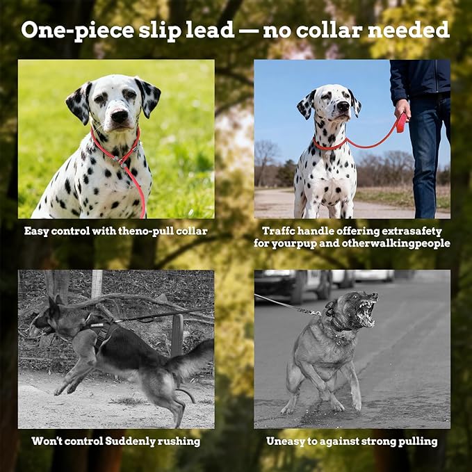 EVERKING Slip Lead Dog Leash,No-Pull Slip Training Leash and Collar,6FT Nylon Material Heavy-Duty and Durable,with Comfortable Padded Handle,Suitable for All Dogs (Red(4.9-5.9FT-Metal Buckle))