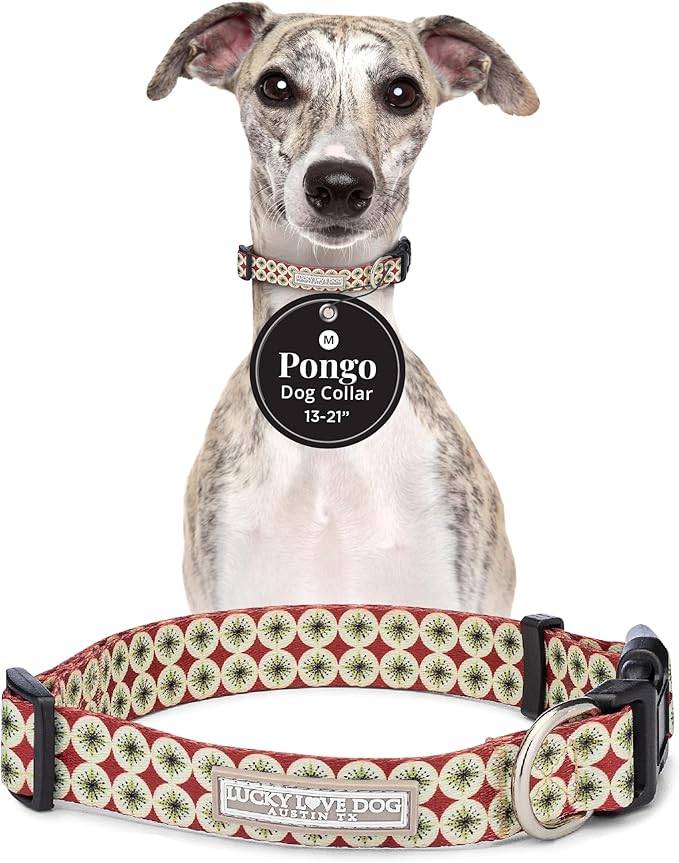 Lucky Love Dog - Adjustable Dog Collar with Easy Click Buckle for Medium, Durable, & Comfortable for Male & Female Dogs, Pet Collar for Puppies & Adult Dogs - Pongo, Medium