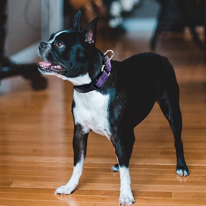 Hikiko Martingale Collar for Dogs Reflective Nylon Dog Collar with Quick Release Buckle Adjustable Training No Slip Dog Collar (Small, Purple)