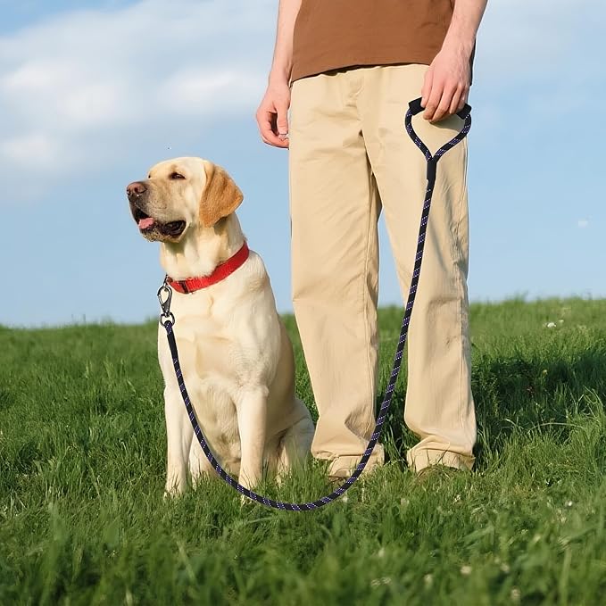 Mile High Life Reflective Dog Leash, with Comfortable Padded Handle, Black Nylon Rope Leash with Steel Tips, Heavy Duty 4 Feet Pet Leashes (Black Purple,48 Inches)