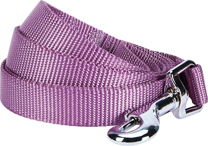 Blueberry Pet Essentials Purple Dog Leash for Medium - 5' * 3/4" Dogs | Heavy Duty Nylon Lead | Lightweight Puppy & Cat Leash for Walking & Training