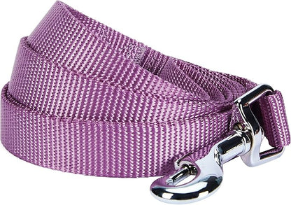 Blueberry Pet Essentials Purple Dog Leash for Small -5' * 5/8" Dogs | Heavy Duty Nylon Lead | Lightweight Puppy & Cat Leash for Walking & Training