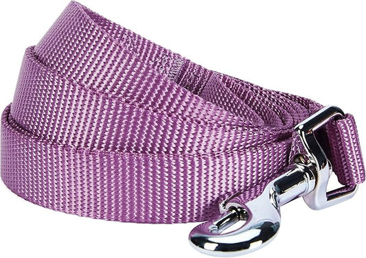 Blueberry Pet Essentials Purple Dog Leash for Small -5' * 5/8" Dogs | Heavy Duty Nylon Lead | Lightweight Puppy & Cat Leash for Walking & Training