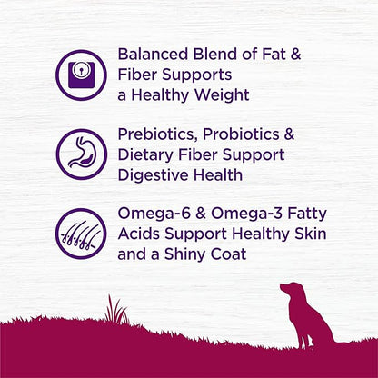 Wellness Complete Health Dry Dog Food, Small Breed, Wholesome Grains, Natural, Healthy Weight Turkey & Brown Rice Recipe, (12-Pound Bag)