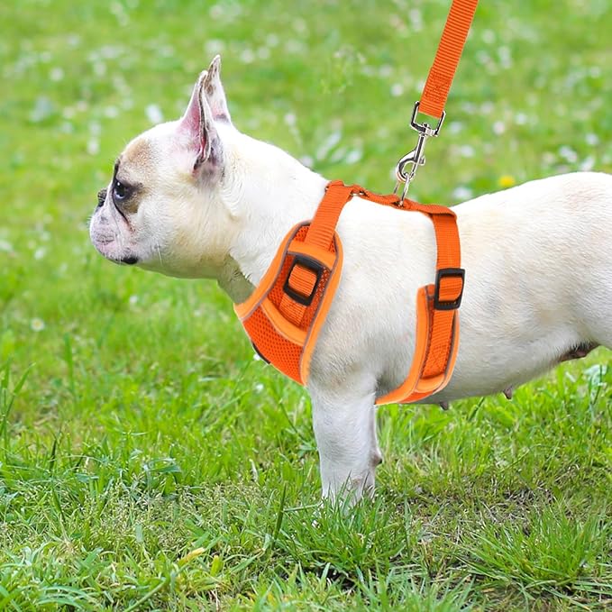 PUPTECK Small Dog Harness and Leash Set, No Pull Adjustable Puppy Cat Harness, Reflective Soft Mesh Pet Vest Small Sized, Orange, XS