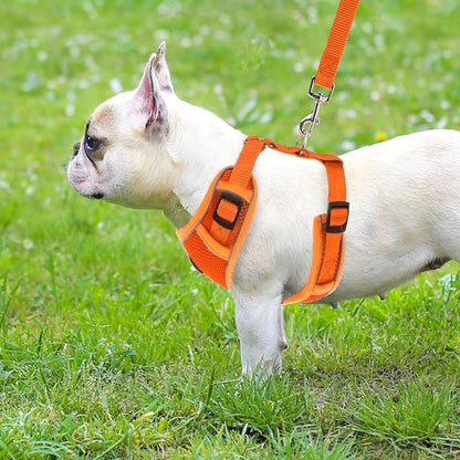 PUPTECK Small Dog Harness and Leash Set, No Pull Adjustable Puppy Cat Harness, Reflective Soft Mesh Pet Vest Small Sized, Orange, XS