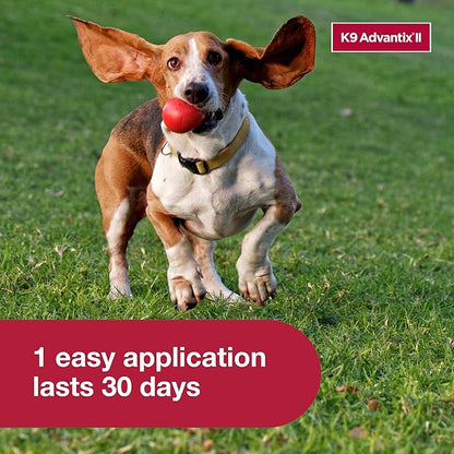 K9 Advantix II Small Dog Vet-Recommended Flea, Tick & Mosquito Treatment & Prevention | Dogs 4-10 lbs. | 6-Mo Supply