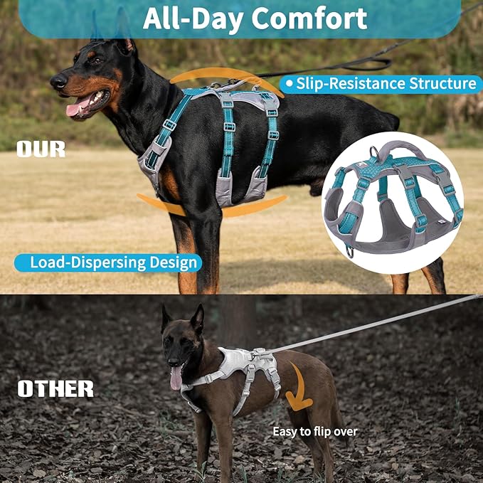 Huntboo Reflective Dog Harness with Handle, Escape Proof, No Slip, Breathable, Lightweight, Adjustable Lift Harness for Small, Medium, and Large Dogs Walking, Training, and Running Gear(Teal Blue,S)