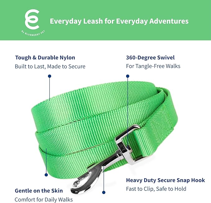 Blueberry Pet Essentials Neon Green Dog Leash for Large - 4' * 1" Dogs | Heavy Duty Nylon Lead | Lightweight Puppy & Cat Leash for Walking & Training