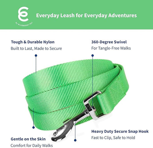Blueberry Pet Essentials Neon Green Dog Leash for Small -5' * 5/8" Dogs | Heavy Duty Nylon Lead | Lightweight Puppy & Cat Leash for Walking & Training