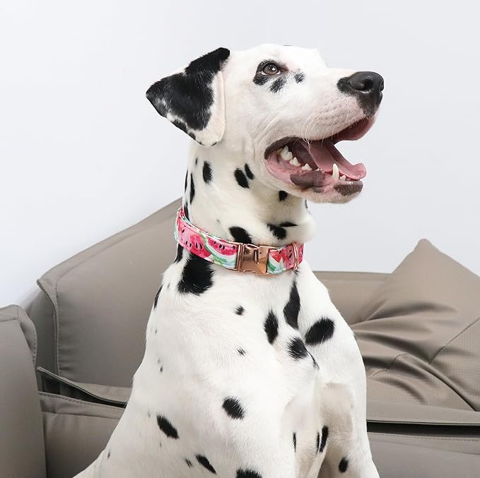Unique style paws Dog Collar Metal Buckle Watermelon Collar Gift Durable Cute Collar for Small Medium Large Boys Girls Dogs