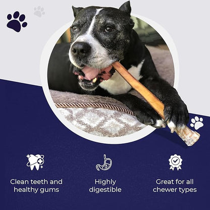 Devil Dog Pet Co. Jumbo Bully Sticks – 6 Inch, 3 Pack Dog Chews, 100% Natural, Single Ingredient, Free-Range Grass-Fed Beef – Long Lasting, Rawhide-Free Treats for Dogs