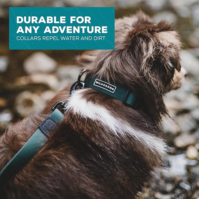 Wilderdog Waterproof Dog Collar - Repels Water & Dirt - Medium 13"-18" - Cedar