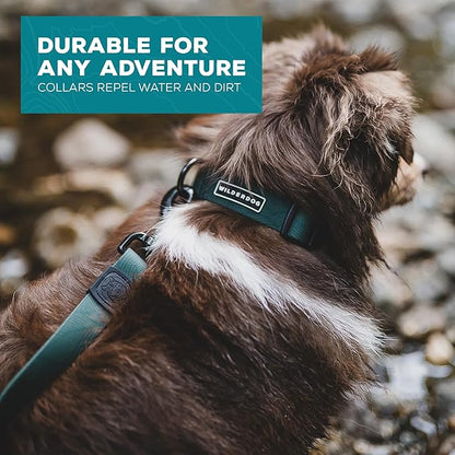 Wilderdog Waterproof Dog Collar - Repels Water & Dirt - Medium 13"-18" - Cedar