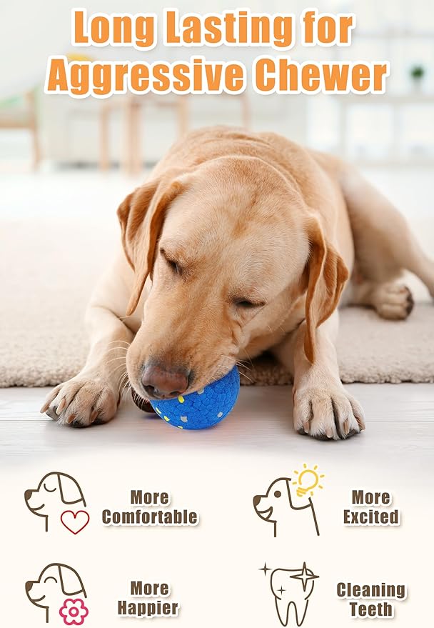 Moonorange Dog Tennis Balls for Aggressive Chewers, Indestructible Durable Bouncy Interactive Toy for Dogs Fetch Game Lightweight Floating Outdoor Training(2 Yellow Point+ 2 Blue Cirle Medium)