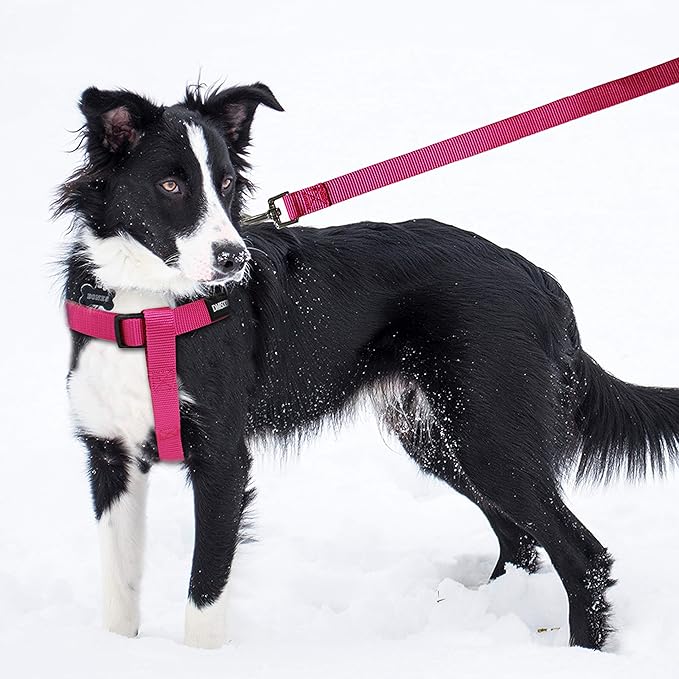 No Pull Dog Harness - Adjustable Step-in Harness & Leash Set for Small, Medium, Large Dogs - Escape Proof Soft Pet Harness for Walking, Training, Hiking, Outdoor Activities