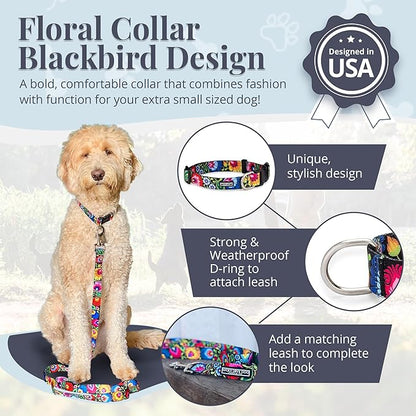 Lucky Love Dog - Adjustable Dog Collar with Easy Click Buckle for Small Ones, Durable, & Comfortable for Male & Female Dogs, Pet Collar for Puppies & Adult Dogs - Blackbird, X-Small