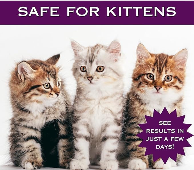 Feline Ring Care | Control & Help with Cat Ringworm, Mange, Dermatitis, Itchy Skin, Dog Paw Yeast. Also works on Dogs, Hamsters, Guinea Pigs, Rabbits, etc. Spray for Cats and Itch Relief (Makes 32 oz)