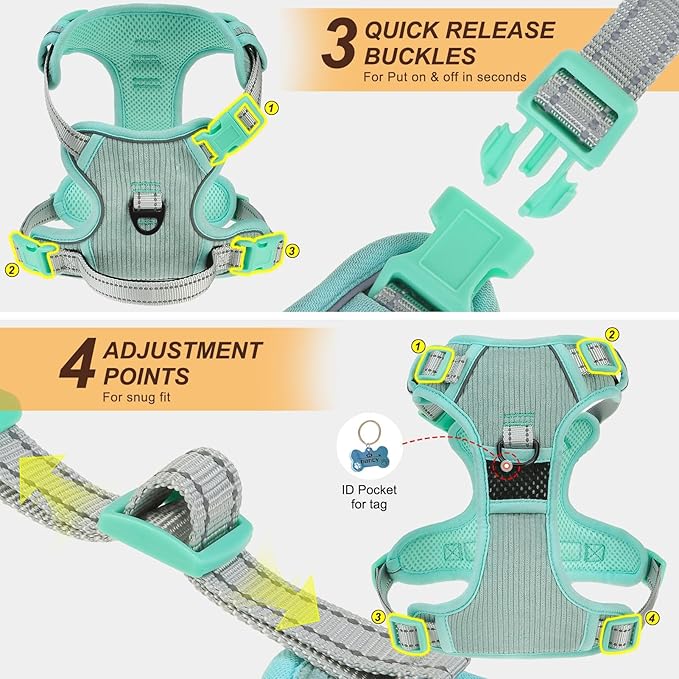 BEAUTYZOO No Pull Dog Harness, Adjustable Dog Harness and Leash Set -Easy Wearing with 3 Buckles/Control Handle,No Choke Soft Padded Reflective Pet Vest for Training Walking Hiking,Solid Aqua Blue L