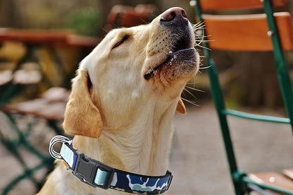 Dog Collar, Cute Camouflage Pattern, Soft and Adjustable Collar with Quick Release Buckle (L (Neck 16-28", Width 1"), Camouflage Blue)