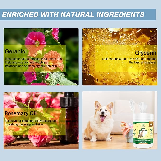 Natouch Antifungal and Antibacterial Wipes for Dogs & Cats, Dog Yeast Infection Treatment Wipes, All Natural Grooming Wipes for Cleaning, Help with Hot Spots, Ringworm, and Skin Infections, 80 Count