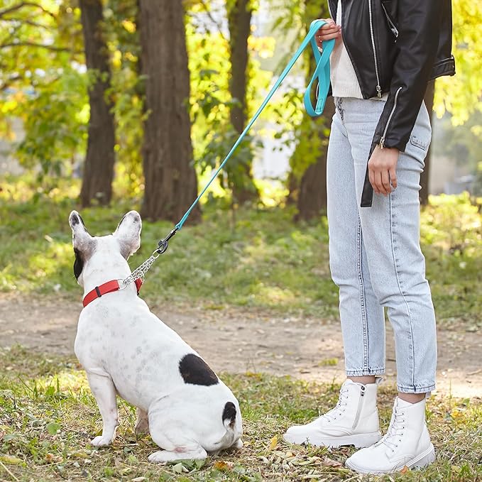 Dogline Biothane Waterproof Dog Leash Strong Coated Nylon Webbing with Black Hardware Odor-Proof Easy to Clean High Performance for Small or Large Dogs Made in USA 4 or 6 ft Lead, Sky Blue